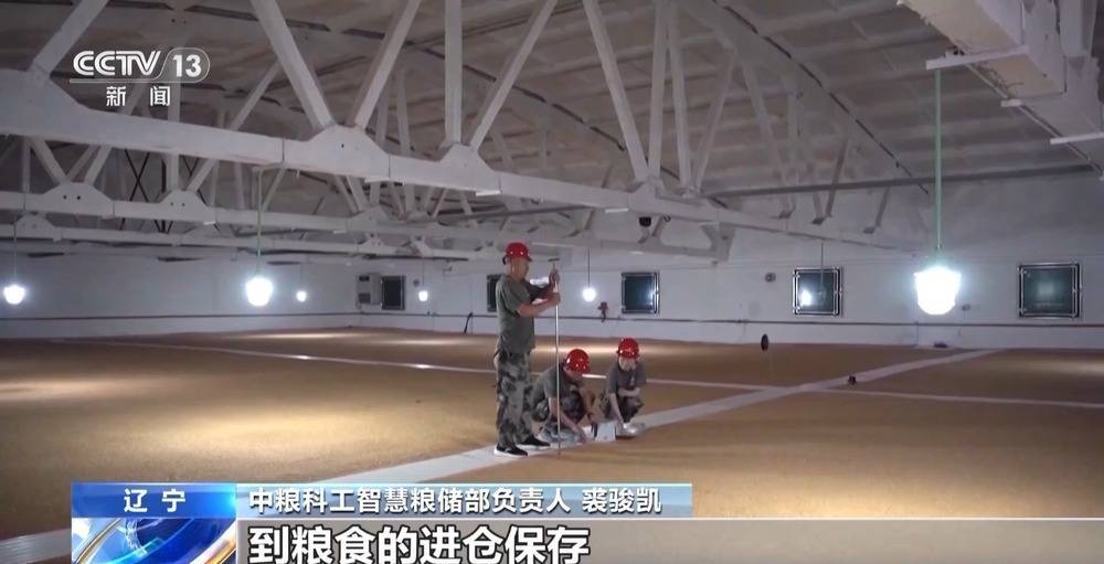 机器人粮仓起舞、“凉仓”锁鲜……粮食行业装备上新