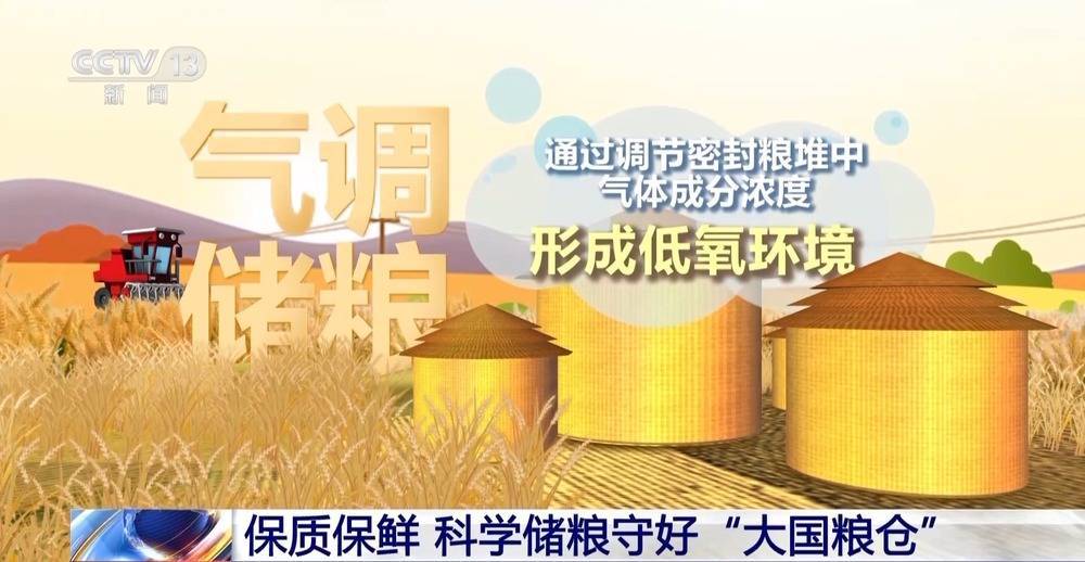 机器人粮仓起舞、“凉仓”锁鲜……粮食行业装备上新