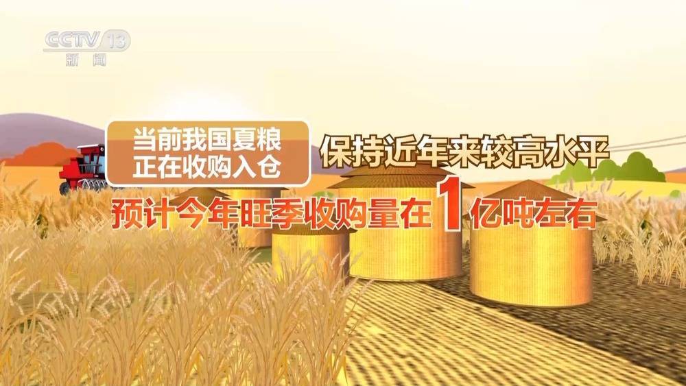 机器人粮仓起舞、“凉仓”锁鲜……粮食行业装备上新