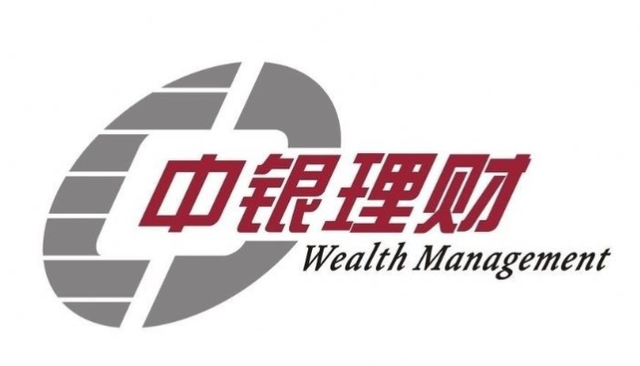 中银证券公司(中银证券公司官网)