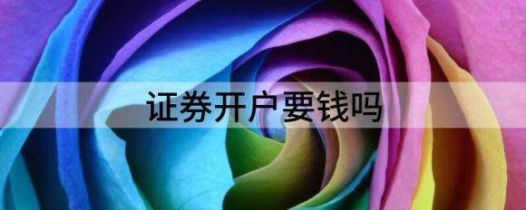 国信证券怎么开户(国信证券开户有什么用)