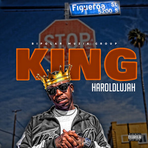 KING(kingfa口罩)