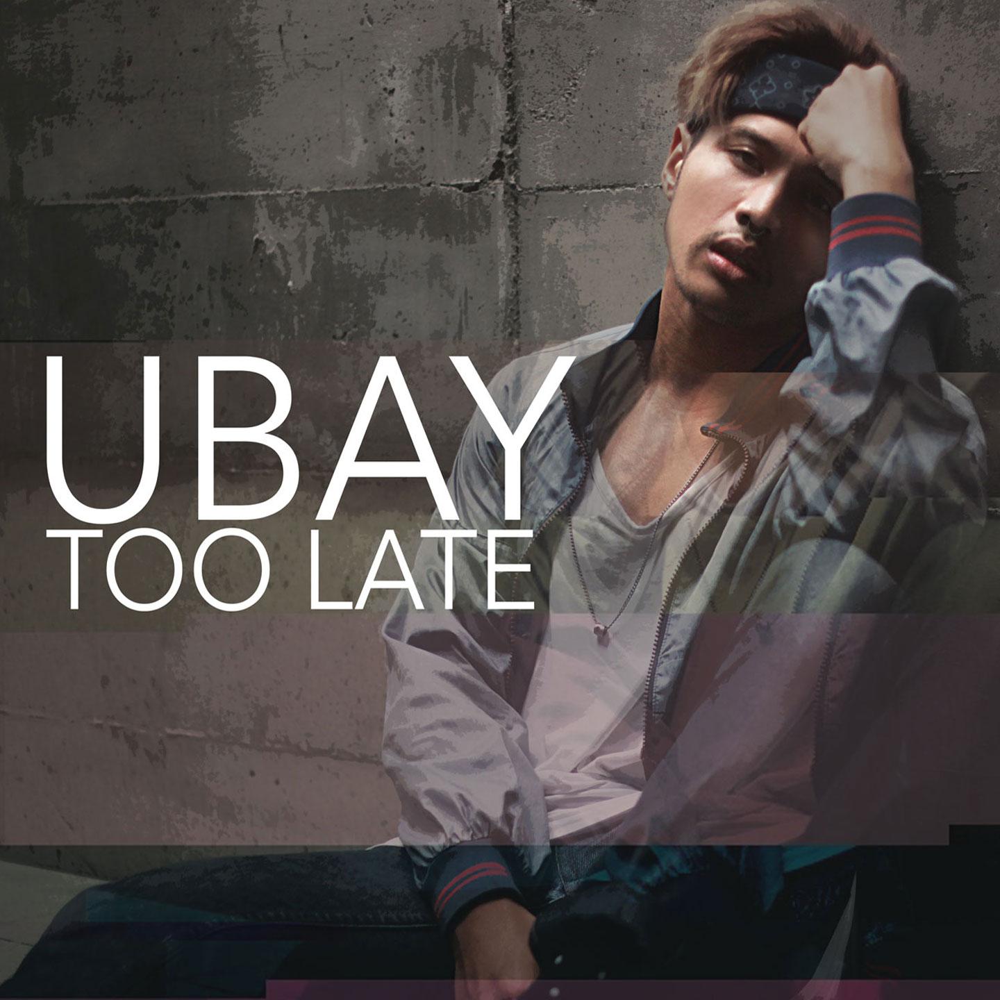 UBAY(ubay猫粮哪个公司的)