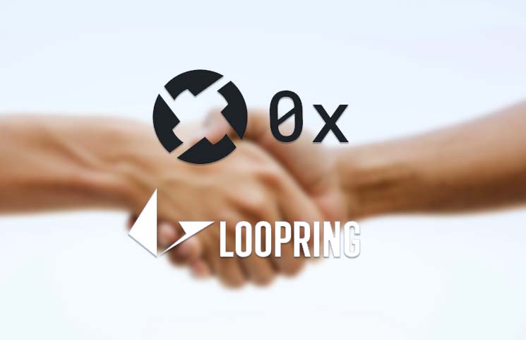 Loopring(loopring 王东)