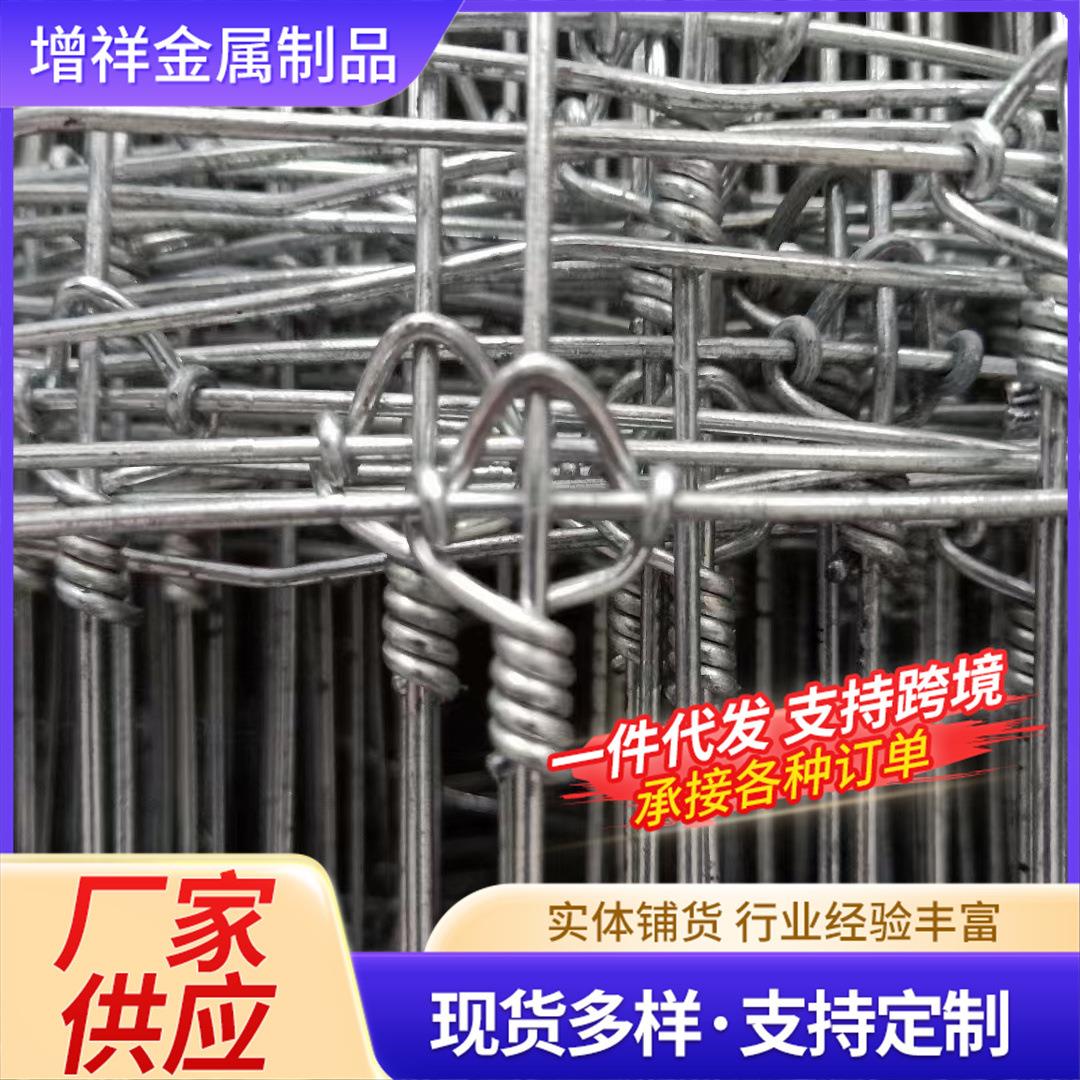 鹿网(梅花鹿网官网)