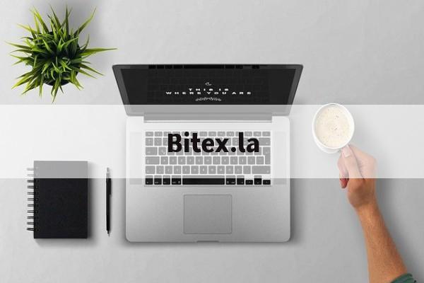 Bitex.la(比特星执法记录仪官网驱动)